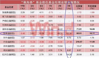 基金公司管理戰(zhàn)略配售基金應(yīng)具備的實(shí)力與投資管理策略